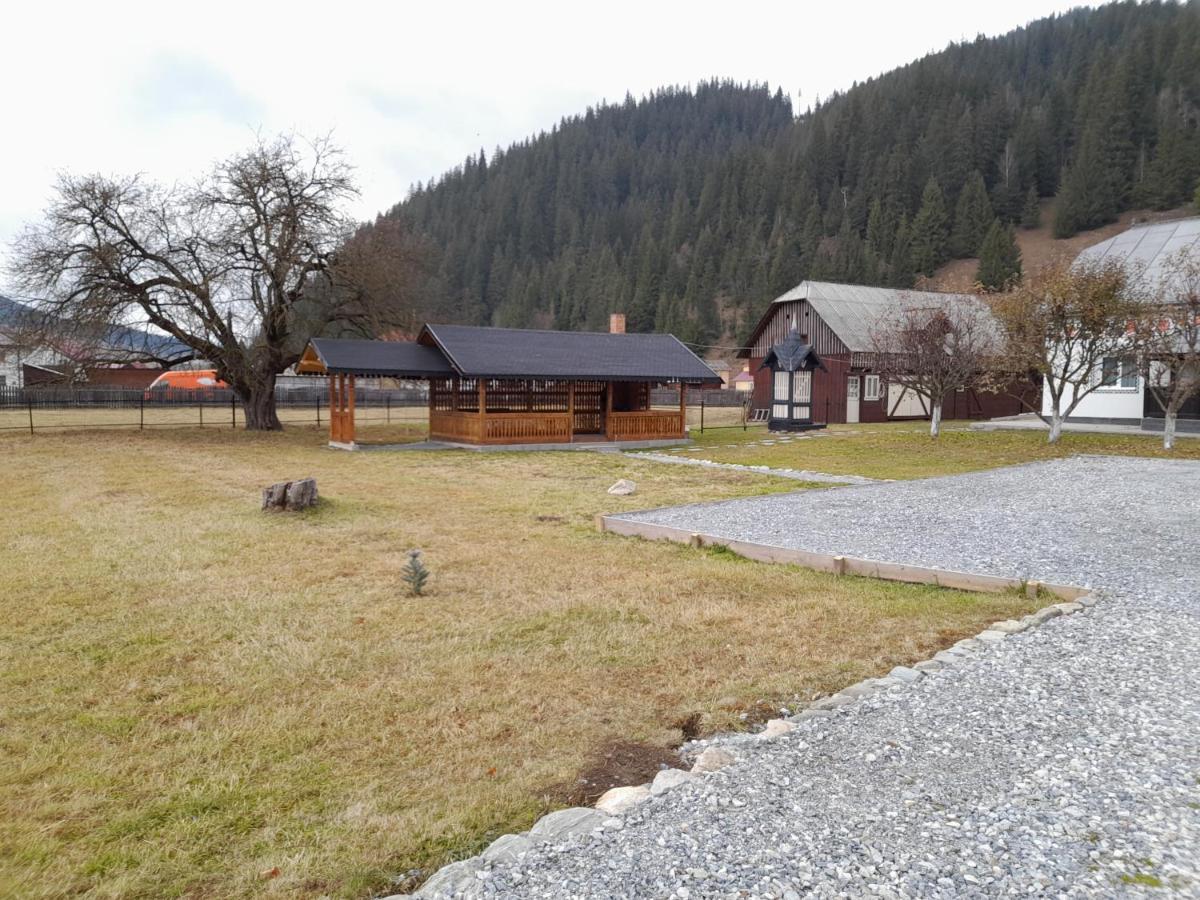 Casa Dumitru Si Elena Ciocanesti Bucovina Exterior photo