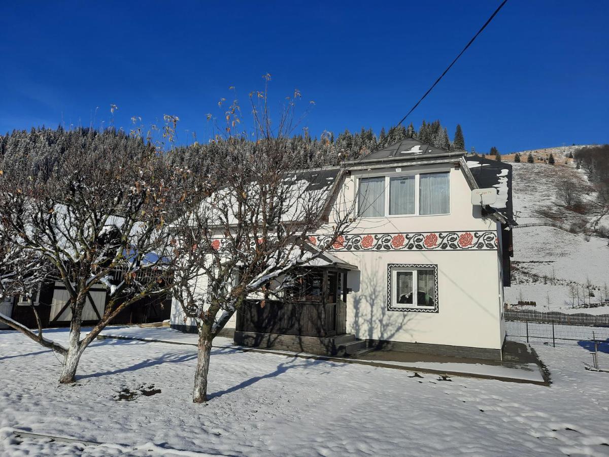 Casa Dumitru Si Elena Ciocanesti Bucovina Exterior photo